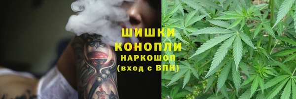 молекула духа Горнозаводск