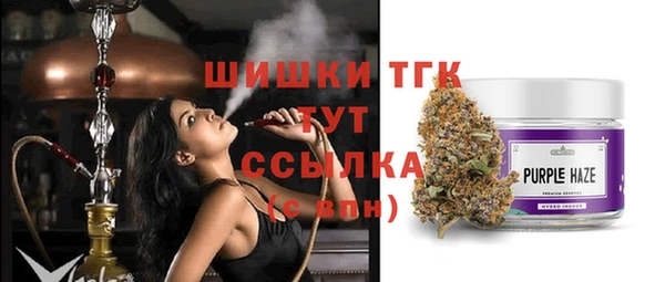 молекула духа Горнозаводск