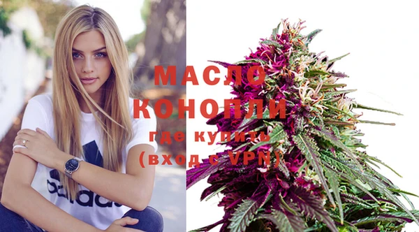 молекула духа Горнозаводск