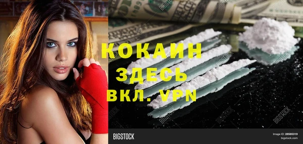 молекула духа Горнозаводск