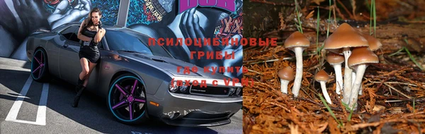 молекула духа Горнозаводск