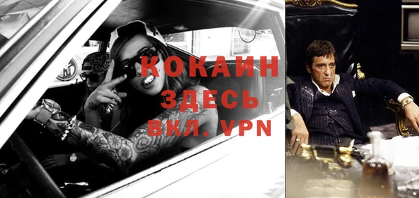 молекула духа Горнозаводск