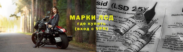 молекула духа Горнозаводск